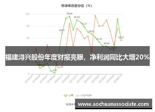 福建浔兴股份年度财报亮眼，净利润同比大增20%