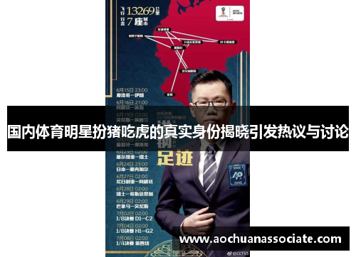国内体育明星扮猪吃虎的真实身份揭晓引发热议与讨论