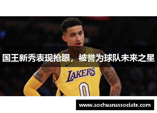 国王新秀表现抢眼，被誉为球队未来之星