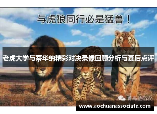 老虎大学与蒂华纳精彩对决录像回顾分析与赛后点评